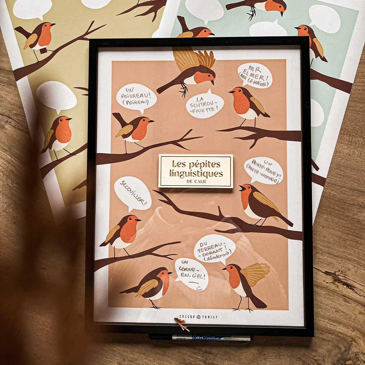 Affiches oiseaux "pépites linguistiques"